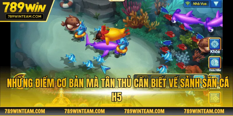 Những điểm cơ bản mà tân thủ cần biết về sảnh săn cá H5 