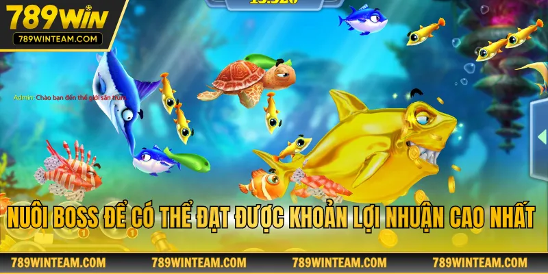 Nuôi boss để có thể đạt được khoản lợi nhuận cao nhất