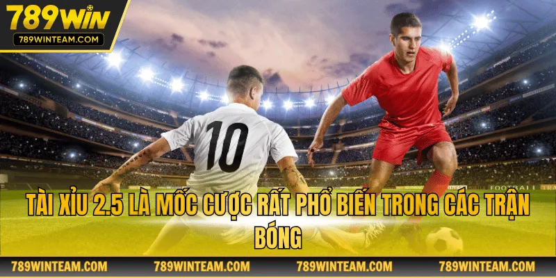 Tài xỉu 2.5 là mốc cược rất phổ biến trong các trận bóng
